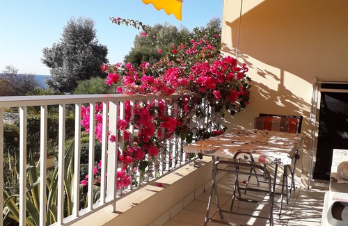 Corse-du-Sud Apartment | T2 TERRACE 50M2 FULL SOUTH 100M BEACH SHOPS BUS