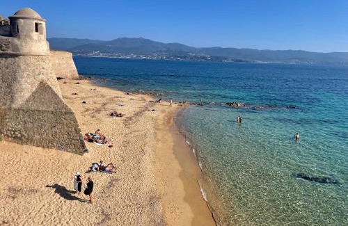 Le Ricanto Apartment | T2 VUE MER - ENTREE DE VILLE