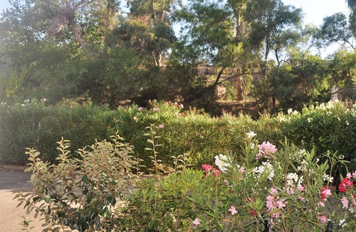 Albitreccia Apartment | T3 - 4 people - 250m from Agosta beach - Quiet private residence