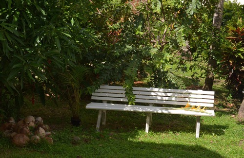 Les Anses-d'Arlets House | T3 bungalow with garden