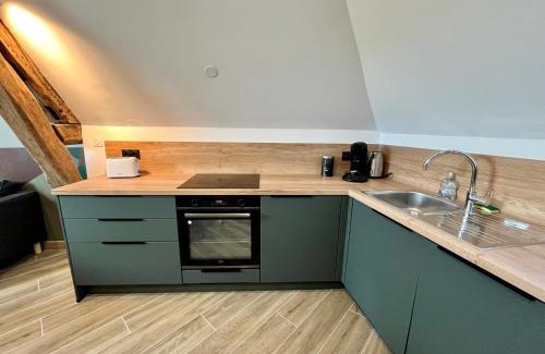 Amboise Apartment | T3 climatisé face Loire et château l'appart du 4-1