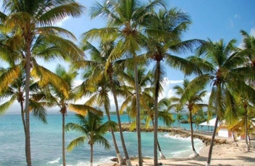 Bas du Fort Apartment | T3 Duplex swimming pool direct access to the beach