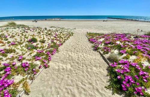 Carnon-Plage House | T3 La Salamandre Vue Mer Carnon