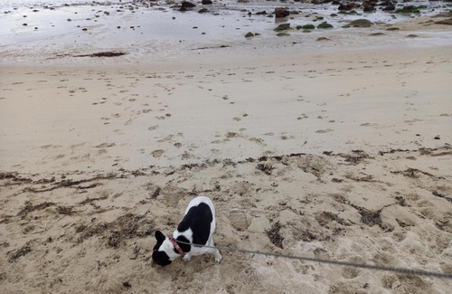 Pleumeur-Bodou House | TALL AR MOR