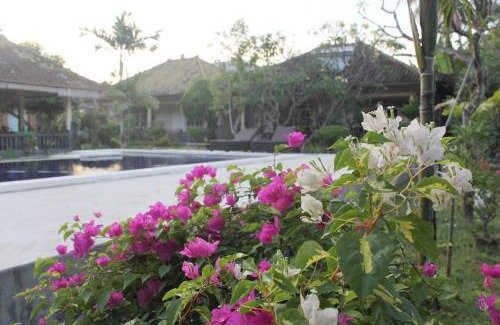 Lovina Hotel | Taman Lily's Hotel