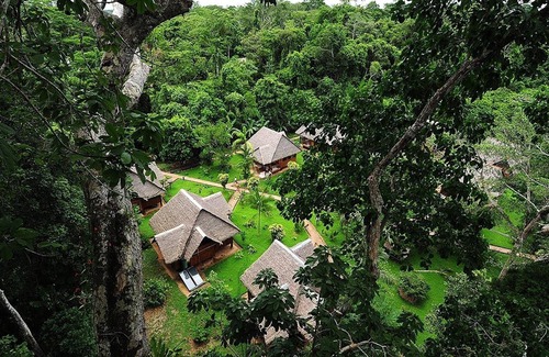 Tambopata Cabin | Tambopata Ecolodge