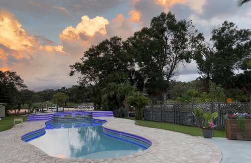 Tampa Apartment | Tampa River Oasis