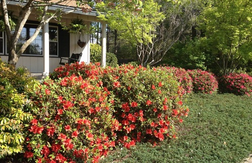 Southern Pines Apartment | Tanglewood Farm - Fox Den Suite 1 BR/1BA Private Apartment on Horse Farm