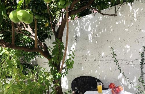 Alghero Apartment | Tap Apartments - in Independent House with Private Garden