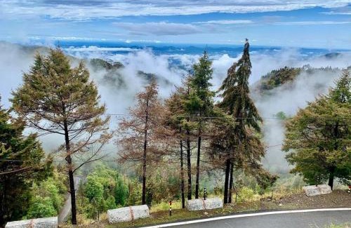 Dhanaulti Hotel | Tapovan Guest House & Restaurant