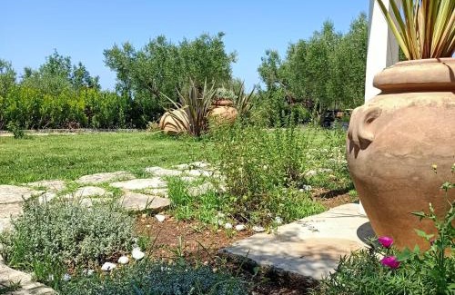 Marina Di Camerota Apartment | Tarohouse Marina di Camerota