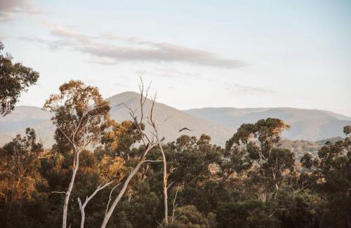 Healesville House | Tarrawarra Retreat