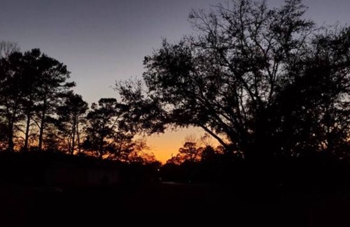 Lecanto House | Taste of Tiny Living in Pet Friendly Paradise