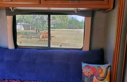 Lecanto House | Taste of Tiny Living in Pet Friendly Paradise