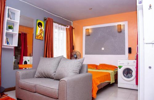 Ngara West Apartment | TASTEFULLY-FURNISHED MVULI STUDIo