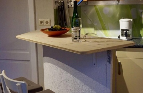 Sugenheim Apartment | Tastefully renovated 2-room non-smoking apartment with garden view