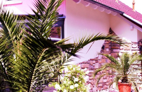 Schwanau Apartment | Taubergießen vacation rental - Vacation Home