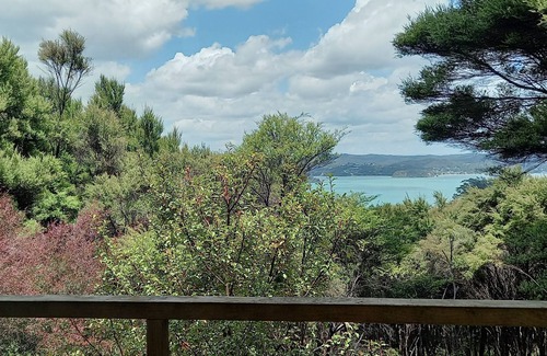 Russell House | Te Oneroa Hill, 5 acres of native park with wonderful sea view.