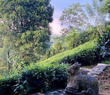 Walahanduwa Apartment | Tea Plantation Bungalow In Galle