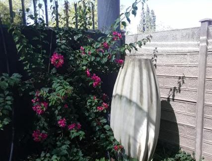 Upington House | Tehillah Guesthouse