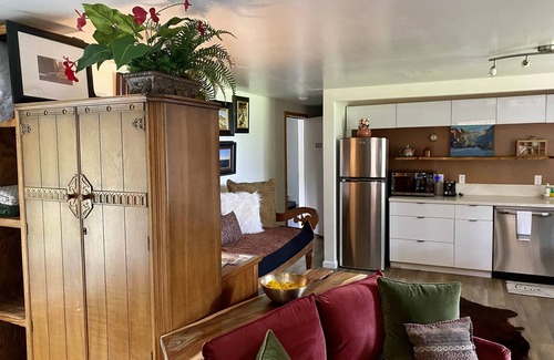 Telluride Apartment | Telluride’s Quiet Abode. Downtown central