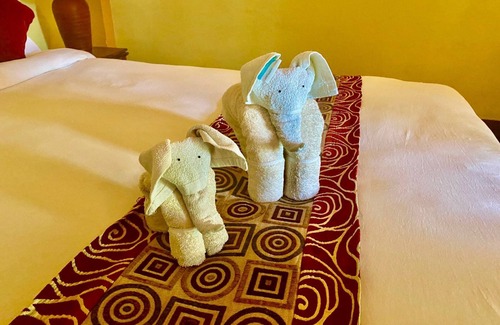 Kawasoti Hotel | Temple Tiger Resort Chitwan