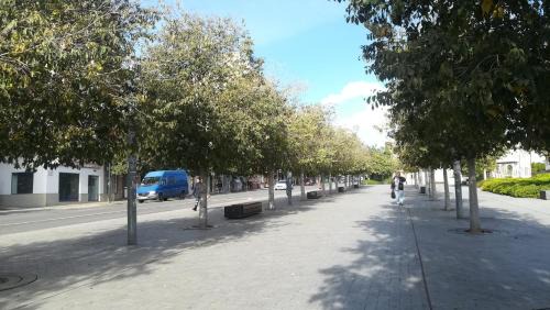 Campoamor Apartment | Temporary Alicante TM