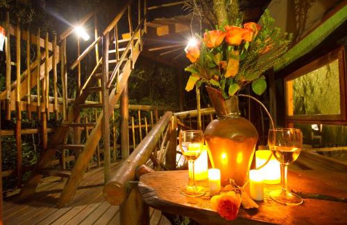 Knysna Other | Teniqua Treetops