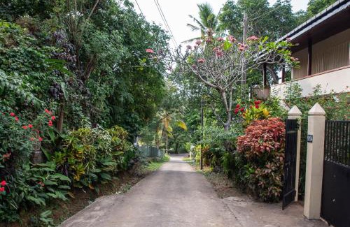 Kandy Apartment | Tenora Apartment