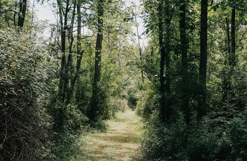 Salt Point RV Rental | Tentrr Signature Site - Creekside Solitude