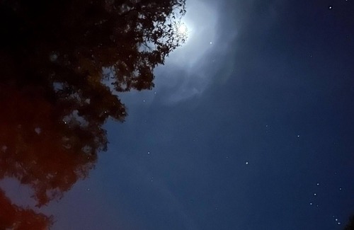 Silver Point RV Rental | Tentrr Signature Site - Sundown at Defenders Retreat - Site G