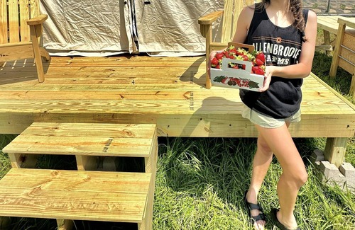 Spring Hill RV Rental | Tentrr Signature Site - Allenbrooke Farms Glamping Site 1