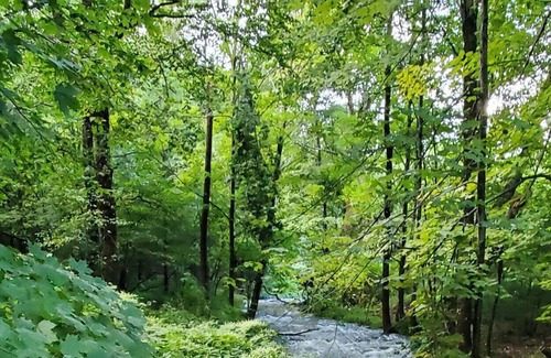 Kerhonkson RV Rental | Tentrr Signature Site - Sundown for swimming, hiking, and a peaceful, easy feeli