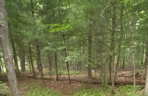 Mount Hope RV Rental | Tentrr Signature Site - Lake Hills Farm - Stream Side Camping