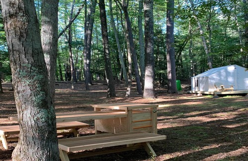 Mount Marion RV Rental | Tentrr Signature Site - Highwoods two