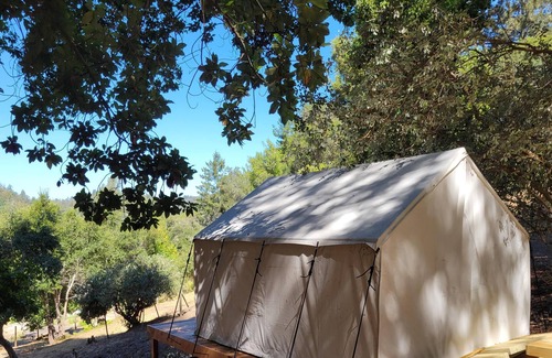 Soquel RV Rental | Tentrr Signature Site - Avocado Grove C