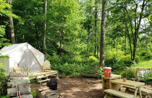 Somers RV Rental | Tentrr Signature Site - Beaver Pond Camping at Farm Winery