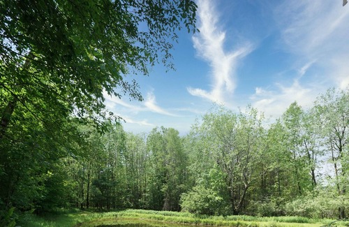 Milford RV Rental | Tentrr Signature Site - Firefly Acres