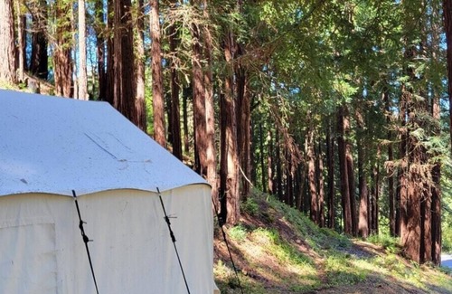 Soquel RV Rental | Tentrr Signature Site - Redwood Grove A