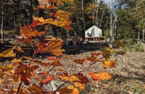 Chatham RV Rental | Tentrr Signature Site - Sunnyside @butterhillhdeaway