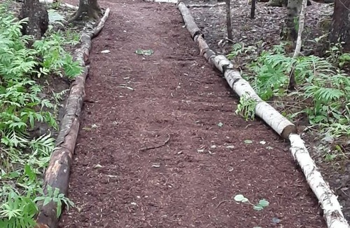 Colebrook RV Rental | Tentrr Signature Site - In the Woods at Notch View