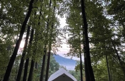 Lynn RV Rental | Tentrr Signature Site - Mountain View in Tryon
