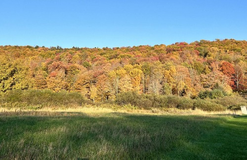 Long Eddy RV Rental | Tentrr Signature Site - Birch Meadow Retreat