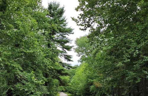 Montague RV Rental | Tentrr Signature Site - Hidden Hollow Pines