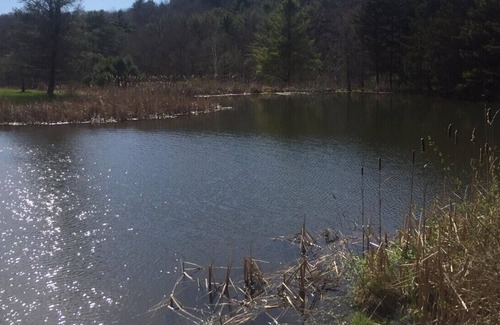 Franklin RV Rental | Tentrr Signature Site - Moonlit Pond South