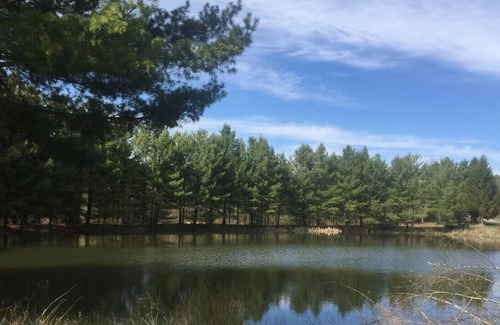 Franklin RV Rental | Tentrr Signature Site - Moonlit Pond South
