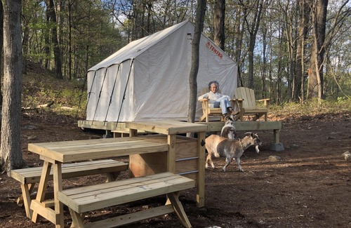 Putnam Valley RV Rental | Tentrr Signature Site - 'Higher Ground' near Fahnestock State Park