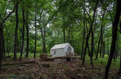 Berkeley Springs RV Rental | Tentrr State Park Site - WV Cacapon State Park - Site H (2.7 miles past Cacapon
