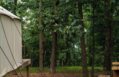 Berkeley Springs RV Rental | Tentrr State Park Site - WV Cacapon State Park - Site C (1.8 miles past Cacapon