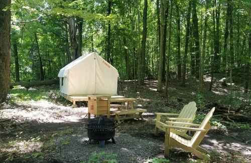 Talisheek RV Rental | Tentrr State Park Site - Louisiana Bogue Chitto State Park - Riverview E - Singl